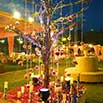 Ambria Pushpanjali - Best Wedding Venue in South Delhi Gallery Image 12
